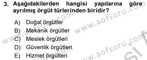 Sosyal Hizmet Yönetimi Dersi 2016 - 2017 Yılı 3 Ders Sınav Soruları 3. Soru