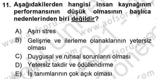 Sosyal Hizmet Yönetimi Dersi 2021 - 2022 Yılı (Final) Dönem Sonu Sınav Soruları 11. Soru
