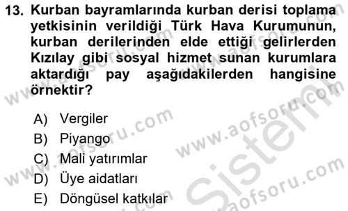 Sosyal Hizmet Yönetimi Dersi 2023 - 2024 Yılı Yaz Okulu Sınav Soruları 13. Soru