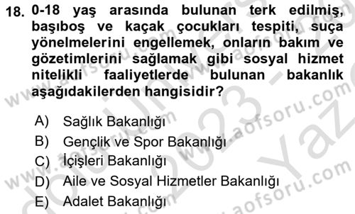 Sosyal Hizmet Yönetimi Dersi 2023 - 2024 Yılı Yaz Okulu Sınav Soruları 18. Soru