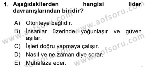 Sosyal Hizmet Yönetimi Dersi 2024 - 2025 Yılı (Vize) Ara Sınav Soruları 1. Soru