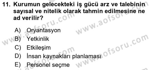Sosyal Hizmet Yönetimi Dersi 2024 - 2025 Yılı (Final) Dönem Sonu Sınav Soruları 11. Soru