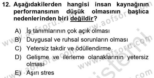 Sosyal Hizmet Yönetimi Dersi 2024 - 2025 Yılı (Final) Dönem Sonu Sınav Soruları 12. Soru