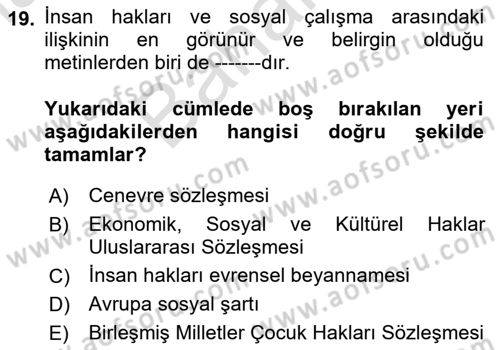Sosyal Hizmet Mevzuatı Dersi 2024 - 2025 Yılı (Final) Dönem Sonu Sınav Soruları 19. Soru