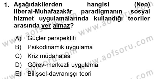 Sosyal Hizmet Kuram Ve Yaklaşımları Dersi Ara Sınavı Deneme Sınav Soruları 1. Soru