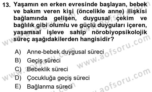 Sosyal Hizmet Kuram Ve Yaklaşımları Dersi Ara Sınavı Deneme Sınav Soruları 13. Soru