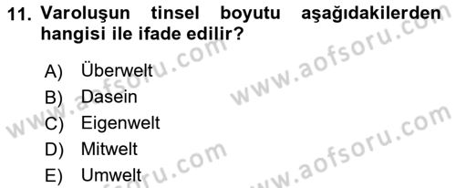 Sosyal Hizmet Kuram Ve Yaklaşımları Dersi 2021 - 2022 Yılı (Final) Dönem Sonu Sınav Soruları 11. Soru