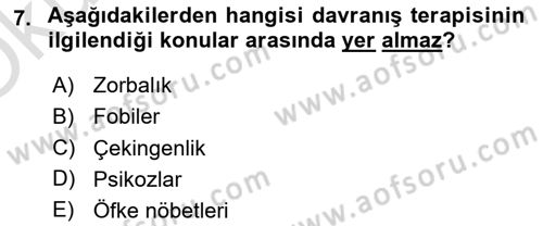 Sosyal Hizmet Kuram Ve Yaklaşımları Dersi 2021 - 2022 Yılı Yaz Okulu Sınav Soruları 7. Soru