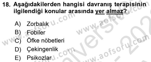 Sosyal Hizmet Kuram Ve Yaklaşımları Dersi Ara Sınavı Deneme Sınav Soruları 18. Soru