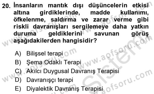 Sosyal Hizmet Kuram Ve Yaklaşımları Dersi Ara Sınavı Deneme Sınav Soruları 20. Soru