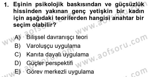 Sosyal Hizmet Kuram Ve Yaklaşımları Dersi 2022 - 2023 Yılı Yaz Okulu Sınav Soruları 1. Soru