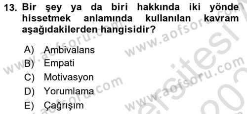 Sosyal Hizmet Kuram Ve Yaklaşımları Dersi 2022 - 2023 Yılı Yaz Okulu Sınav Soruları 13. Soru