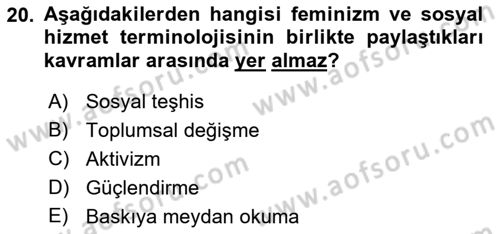 Sosyal Hizmet Kuram Ve Yaklaşımları Dersi 2022 - 2023 Yılı Yaz Okulu Sınav Soruları 20. Soru