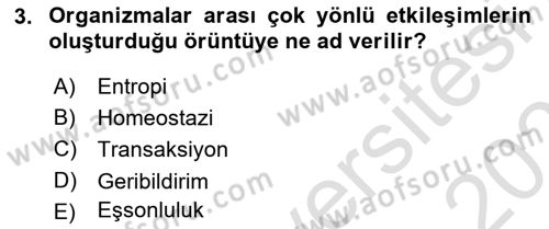 Sosyal Hizmet Kuram Ve Yaklaşımları Dersi 2022 - 2023 Yılı Yaz Okulu Sınav Soruları 3. Soru