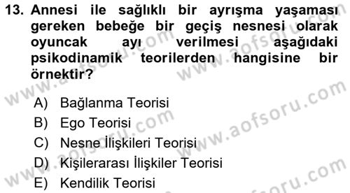 Sosyal Hizmet Kuram Ve Yaklaşımları Dersi 2023 - 2024 Yılı (Vize) Ara Sınav Soruları 13. Soru