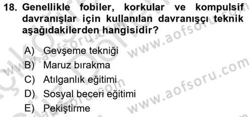 Sosyal Hizmet Kuram Ve Yaklaşımları Dersi Ara Sınavı Deneme Sınav Soruları 18. Soru