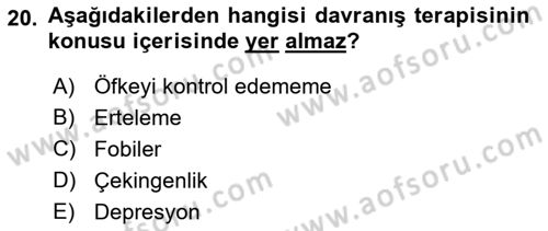 Sosyal Hizmet Kuram Ve Yaklaşımları Dersi 2023 - 2024 Yılı (Vize) Ara Sınav Soruları 20. Soru
