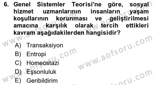 Sosyal Hizmet Kuram Ve Yaklaşımları Dersi Ara Sınavı Deneme Sınav Soruları 6. Soru