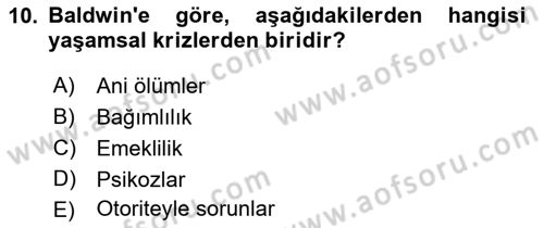 Sosyal Hizmet Kuram Ve Yaklaşımları Dersi 2023 - 2024 Yılı (Final) Dönem Sonu Sınav Soruları 10. Soru