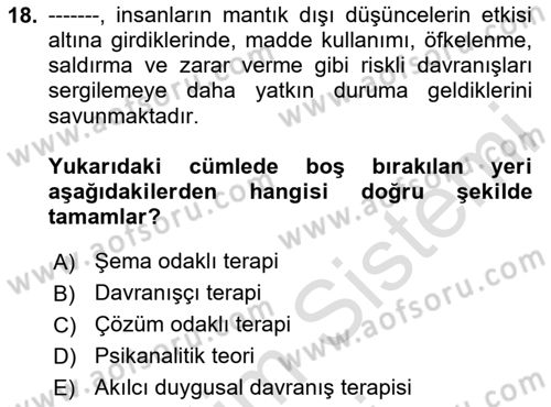 Sosyal Hizmet Kuram Ve Yaklaşımları Dersi 2024 - 2025 Yılı (Vize) Ara Sınav Soruları 18. Soru