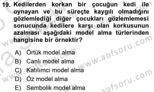 Sosyal Hizmet Kuram Ve Yaklaşımları Dersi 2024 - 2025 Yılı (Vize) Ara Sınav Soruları 19. Soru