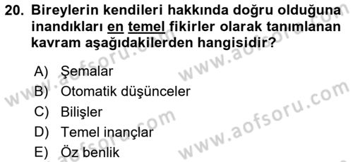 Sosyal Hizmet Kuram Ve Yaklaşımları Dersi 2024 - 2025 Yılı (Vize) Ara Sınav Soruları 20. Soru