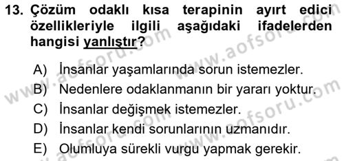 Sosyal Hizmet Kuram Ve Yaklaşımları Dersi 2024 - 2025 Yılı (Final) Dönem Sonu Sınav Soruları 13. Soru
