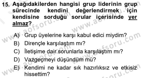 Sosyal Hizmet Kuramları 2 Dersi 2018 - 2019 Yılı (Final) Dönem Sonu Sınav Soruları 15. Soru