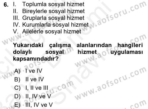 Sosyal Hizmet Kuramları 2 Dersi 2018 - 2019 Yılı (Final) Dönem Sonu Sınav Soruları 6. Soru
