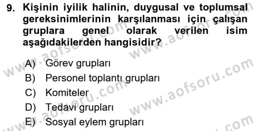 Sosyal Hizmet Kuramları 2 Dersi 2018 - 2019 Yılı (Final) Dönem Sonu Sınav Soruları 9. Soru