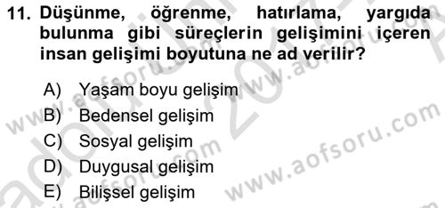 İnsan Davranışı Ve Sosyal Çevre 1 Dersi Ara Sınavı Deneme Sınav Soruları 11. Soru