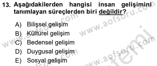 İnsan Davranışı Ve Sosyal Çevre 1 Dersi Ara Sınavı Deneme Sınav Soruları 13. Soru