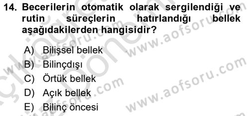 İnsan Davranışı Ve Sosyal Çevre 1 Dersi Ara Sınavı Deneme Sınav Soruları 14. Soru
