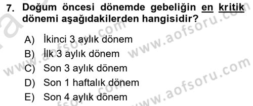 İnsan Davranışı Ve Sosyal Çevre 1 Dersi Ara Sınavı Deneme Sınav Soruları 7. Soru