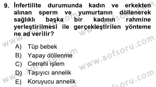İnsan Davranışı Ve Sosyal Çevre 1 Dersi 2017 - 2018 Yılı (Vize) Ara Sınav Soruları 9. Soru