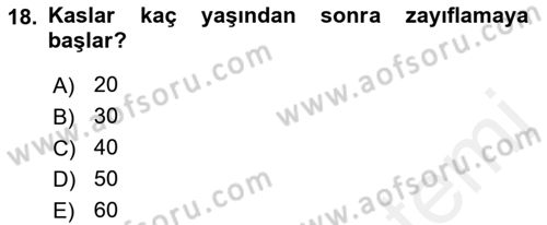 İnsan Davranışı Ve Sosyal Çevre 1 Dersi 2017 - 2018 Yılı (Final) Dönem Sonu Sınav Soruları 18. Soru