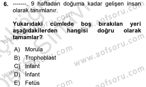 İnsan Davranışı Ve Sosyal Çevre 1 Dersi 2018 - 2019 Yılı 3 Ders Sınav Soruları 6. Soru