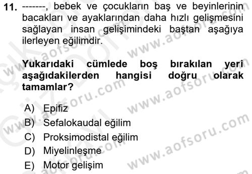 İnsan Davranışı Ve Sosyal Çevre 1 Dersi 2018 - 2019 Yılı (Vize) Ara Sınav Soruları 11. Soru