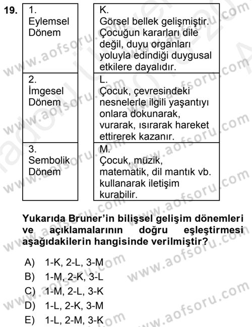 İnsan Davranışı Ve Sosyal Çevre 1 Dersi 2018 - 2019 Yılı (Vize) Ara Sınav Soruları 19. Soru