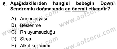 İnsan Davranışı Ve Sosyal Çevre 1 Dersi Ara Sınavı Deneme Sınav Soruları 6. Soru