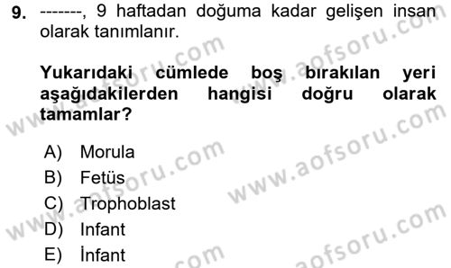 İnsan Davranışı Ve Sosyal Çevre 1 Dersi 2018 - 2019 Yılı (Vize) Ara Sınav Soruları 9. Soru