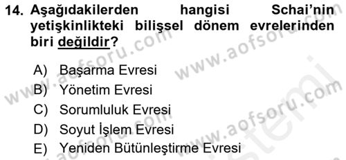 İnsan Davranışı Ve Sosyal Çevre 1 Dersi 2018 - 2019 Yılı (Final) Dönem Sonu Sınav Soruları 14. Soru