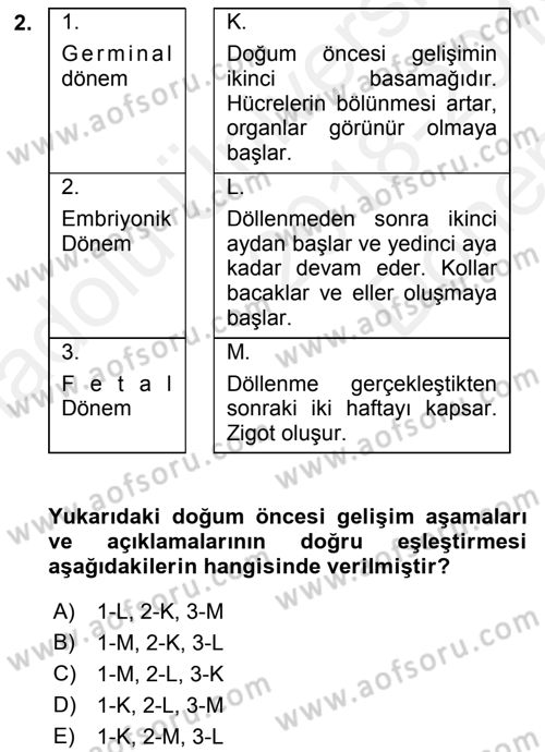 İnsan Davranışı Ve Sosyal Çevre 1 Dersi 2018 - 2019 Yılı (Final) Dönem Sonu Sınav Soruları 2. Soru