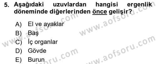 İnsan Davranışı Ve Sosyal Çevre 1 Dersi 2018 - 2019 Yılı (Final) Dönem Sonu Sınav Soruları 5. Soru
