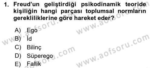 İnsan Davranışı Ve Sosyal Çevre 1 Dersi 2018 - 2019 Yılı Yaz Okulu Sınav Soruları 1. Soru