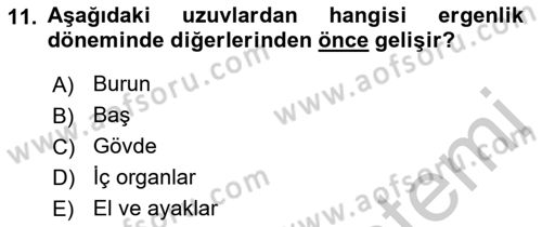 İnsan Davranışı Ve Sosyal Çevre 1 Dersi 2018 - 2019 Yılı Yaz Okulu Sınav Soruları 11. Soru