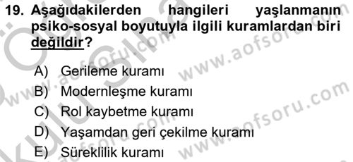 İnsan Davranışı Ve Sosyal Çevre 1 Dersi 2018 - 2019 Yılı Yaz Okulu Sınav Soruları 19. Soru