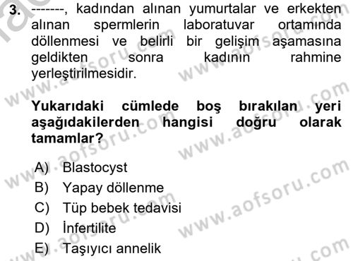 İnsan Davranışı Ve Sosyal Çevre 1 Dersi 2018 - 2019 Yılı Yaz Okulu Sınav Soruları 3. Soru