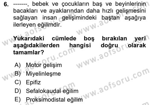 İnsan Davranışı Ve Sosyal Çevre 1 Dersi 2018 - 2019 Yılı Yaz Okulu Sınav Soruları 6. Soru