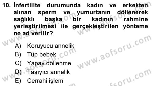 İnsan Davranışı Ve Sosyal Çevre 1 Dersi Ara Sınavı Deneme Sınav Soruları 10. Soru